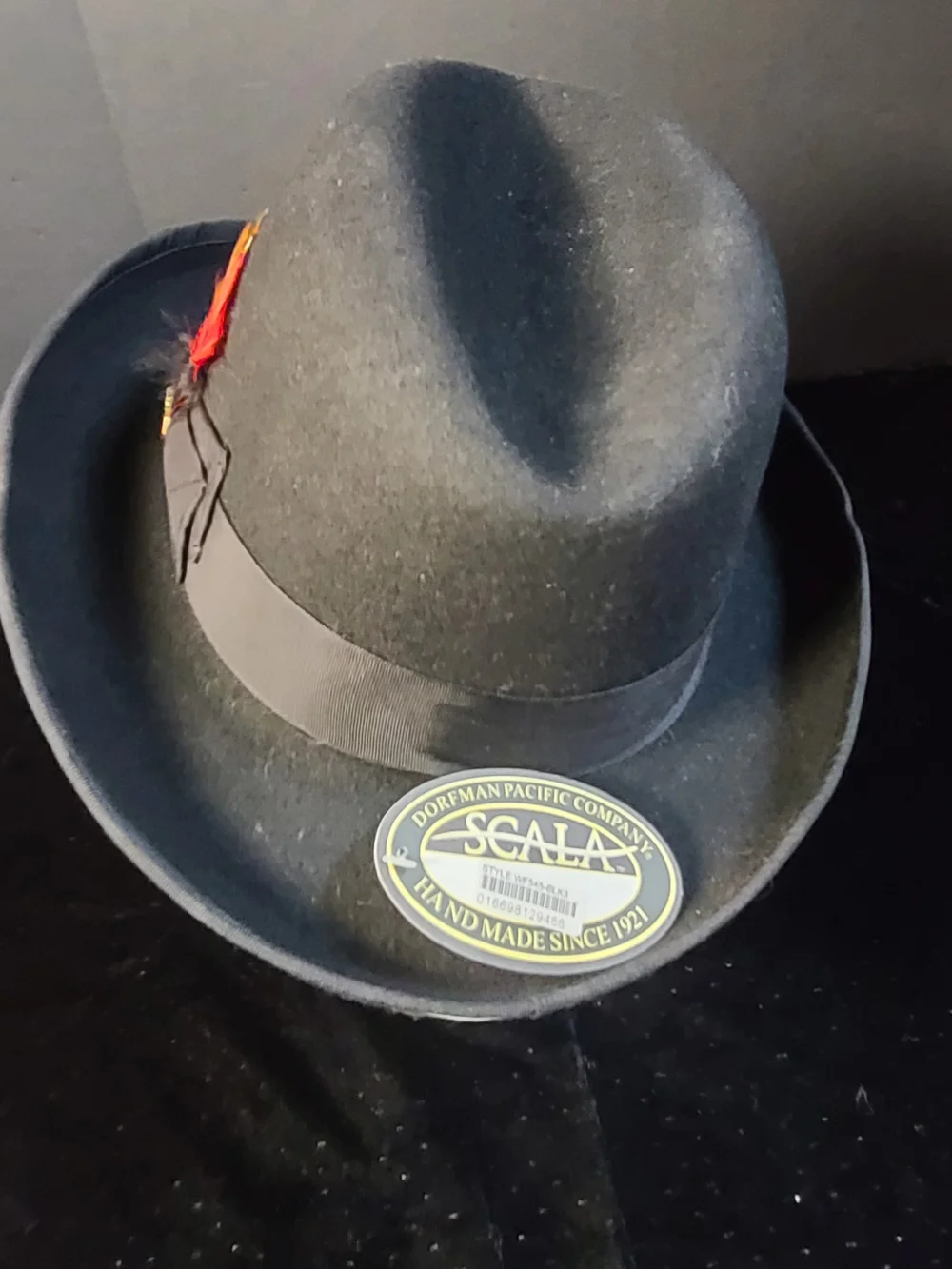 Black Wool Fedora with Decorative Feather